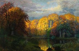Autumn Forest