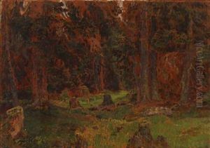Forest Scape From Norway