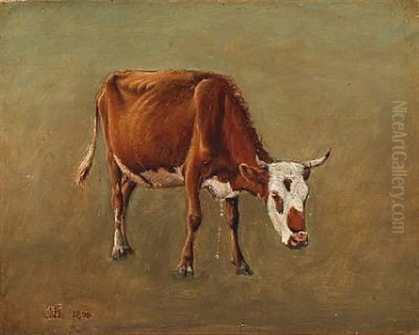 A Cow - view 1