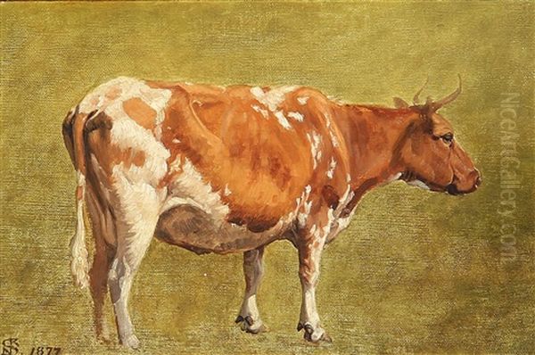 A Cow - view 1