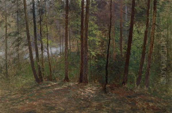 Waldlichtung - view 1
