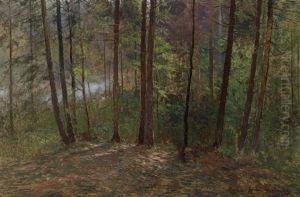 Waldlichtung