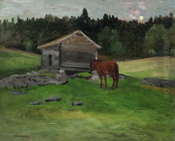 Horse Resting, Evening Light - view 1