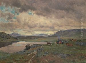 Rast I Hoyfjellet Rast I Hoyfjellet
