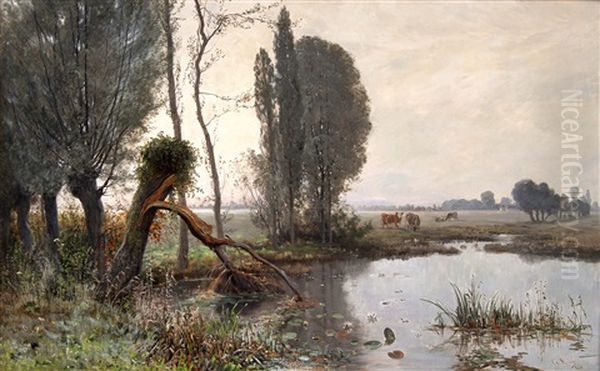 Landskap Med Kuer - view 1