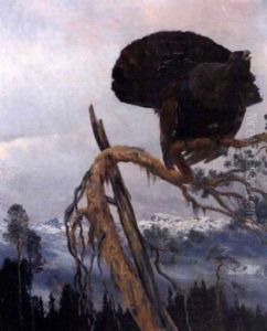 Tiur I Tretopp Tiur I Tretopp