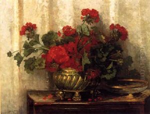 Red Geraniums In A Bowl