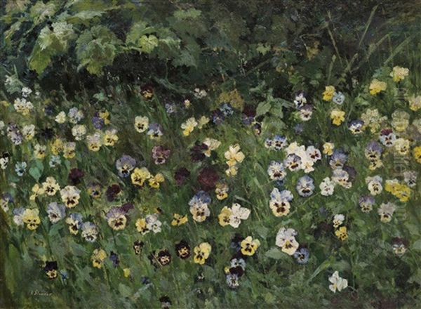 Pansies - view 1