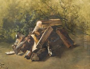 Logs