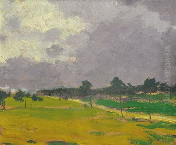 Vysoke Nebe - view 1