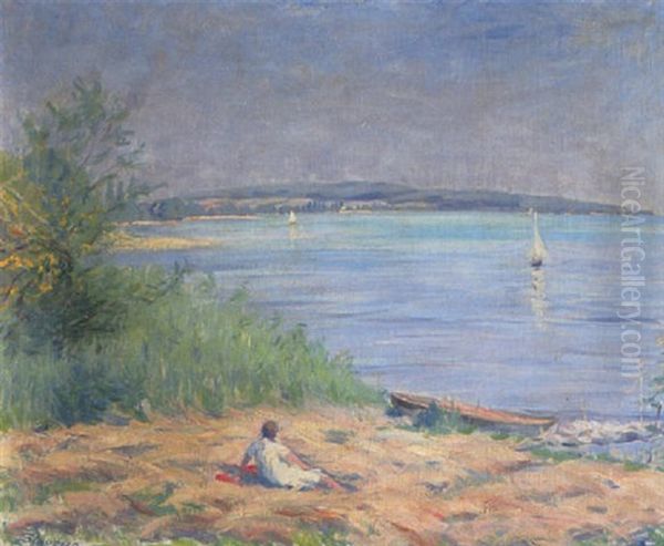 Sommermorgen Am Starnberger See - view 1