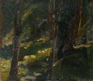 Waldinneres Waldinneres