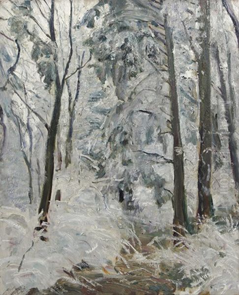 Verschneiter Waldweg - view 1