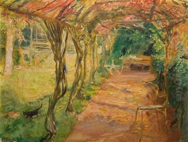 Under The Pergola - view 1