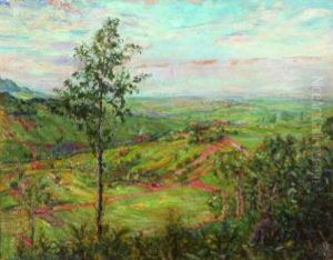 Pfalzer Landschaft (blick Von Neukastel Nach Nordosten)