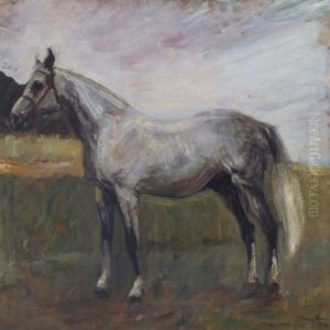 Stehender Schimmel In Pfalzischer Landschaft