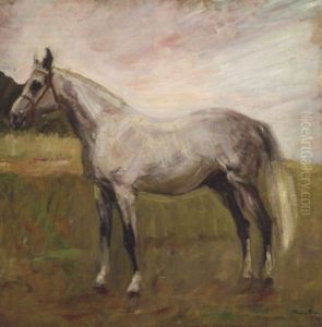Stehender Schimmel Stehender Schimmel