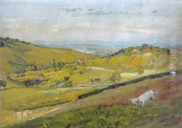 Pfalzlandschaft Mit Ziegen - view 1