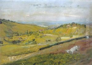 Pfalzlandschaft Mit Ziegen