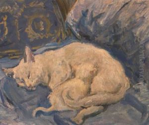 Schlafende Katze Mit Jungem