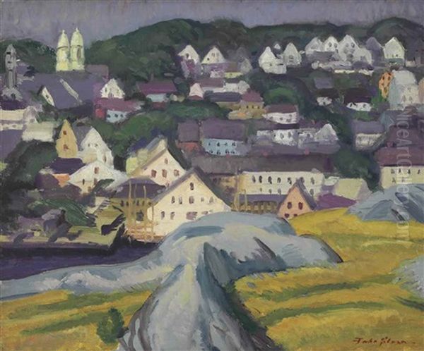 Town From East Hills - view 1