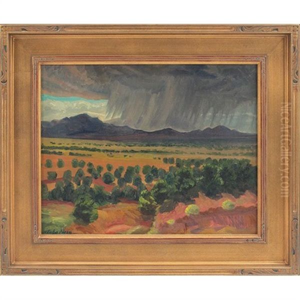 Walking Rain, Santa Fe - view 1