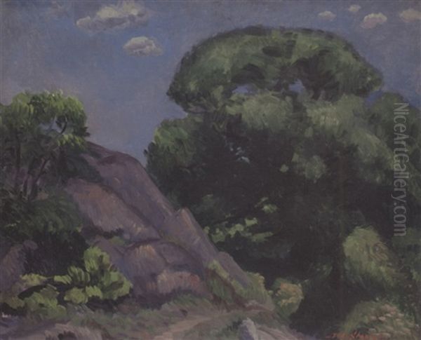 Willows And Rocks - view 1
