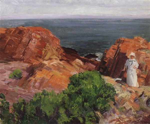 Dolly In White, Rocks And Sea - view 1