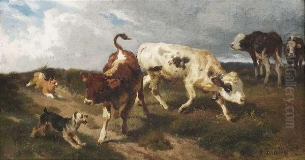 Two Little Calfs Withdogs. - view 1
