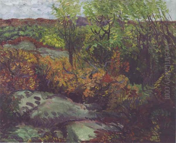 Atumn Rocks And Leaves - view 1