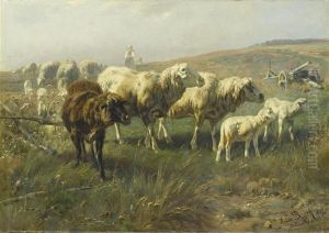 Sheep In A Meadow. by Anton Braith