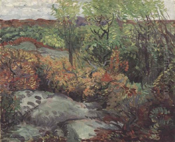 Autumn Rocks And Leaves - view 1