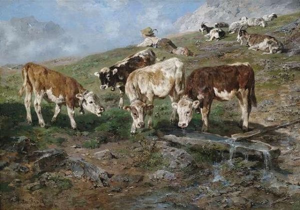 Young Cattle In Tyrol - view 1