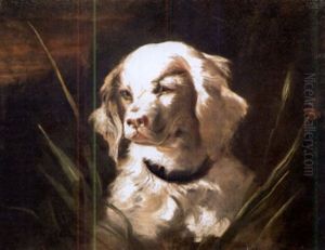 Portrait Of A Spaniel Portrait Of A Spaniel