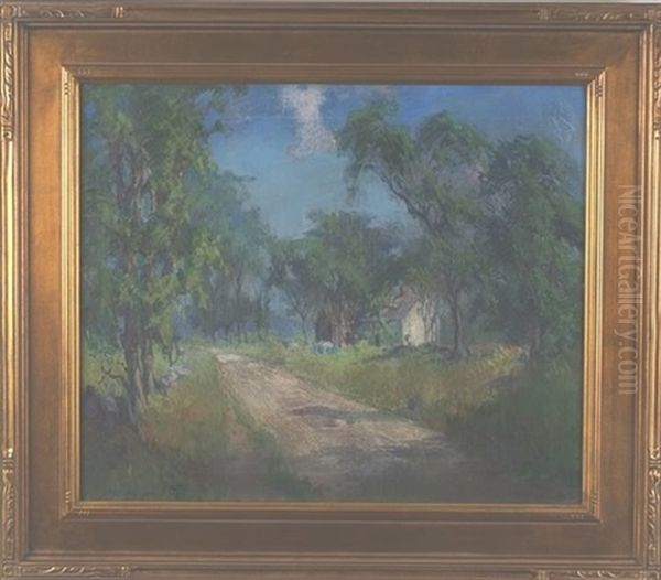 Tree Lined Road With Stucco House - view 1