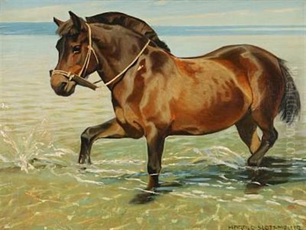A Horse Enjoys The Summer In The Waterline - view 1