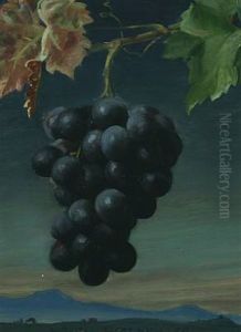 Bunch Of Grapes Bunch Of Grapes