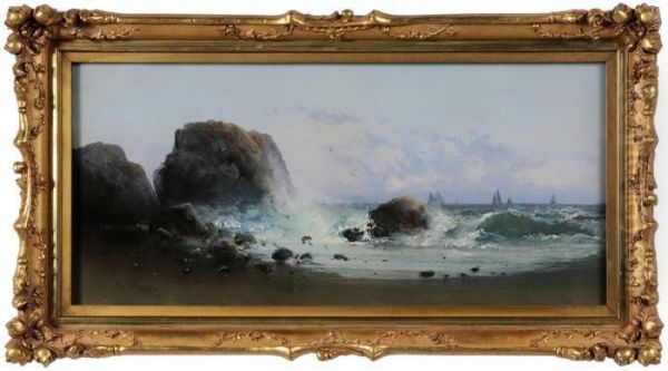 Rocky Coast - view 1
