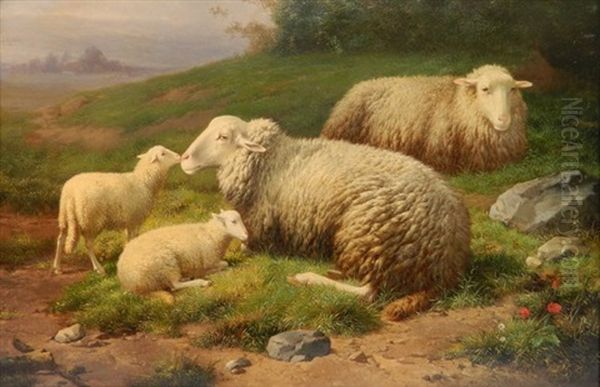 Sheep In A Field - view 1