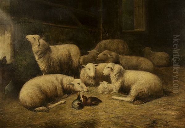 Sheep In A Barn - view 1