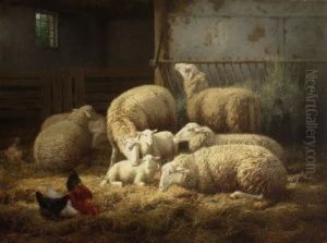 Schafe Und Huhner Im Stall by Theo van Sluys