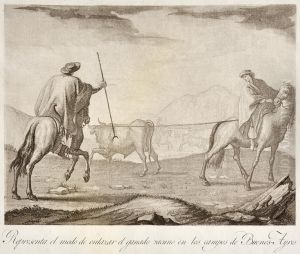 Enlazando Ganado En Las Pampas