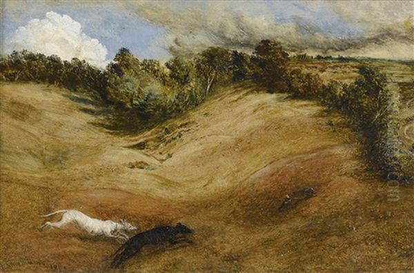 The Chase - view 1