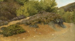 Landschaftstudie Der Septemberheide Bei Himmelbjerget by Hans Ludvig Smidth