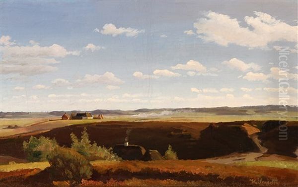 Landscape From East Jutland - view 1