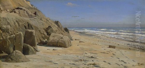 Felsige Strandkuste Mit Mowen Im Sommer - view 1