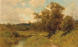 Summer Landscape Summer Landscape