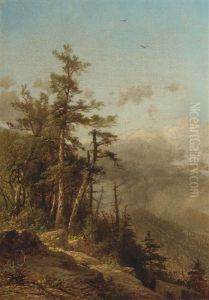 Landscape, From The Heights