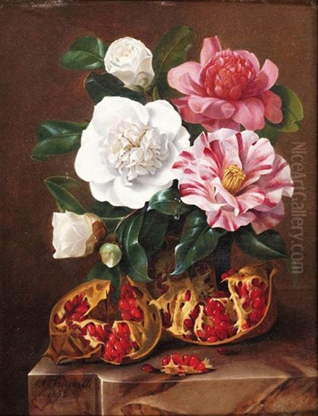 Still Life - view 1