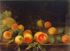 Stilleben Mit Fruchten by Dominicus Van der Smissen
